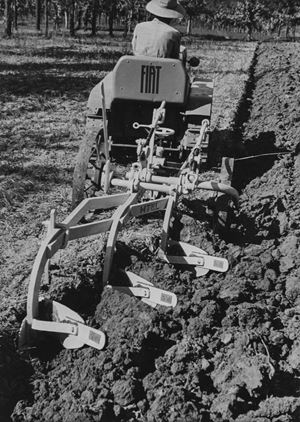 Il lavoro nei campi, Langhe