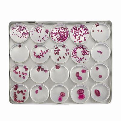 Cofanetto con rubini di diverse tipologie di taglio, totale ct 72,10