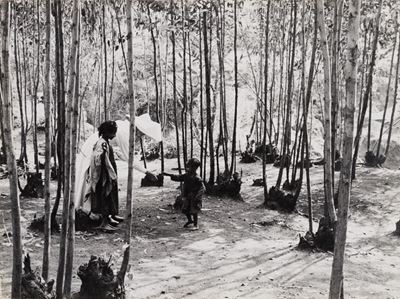 Sister Gabriel, Ethiopia - Stampa vintage alla gelatina ai sali d'argento