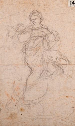 Immacolata Concezione