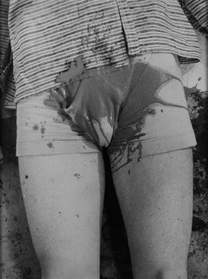 Nitsch Hermann - Aktion