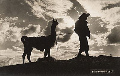 El Indio Y su Lama, Cuzco (perù), 1934