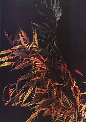 Autunno, 1985