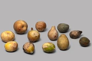 Lotto di 12 frutti in marmo dipinto, secolo XIX