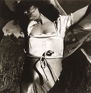 Senza titolo, dalla serie "Satin series", anni 1980