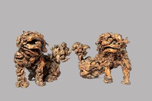 Coppia di cani di Pho in radice, Cina dinastia Qing, secolo XVIII