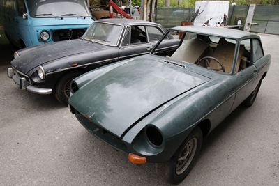 B Gt (mg)