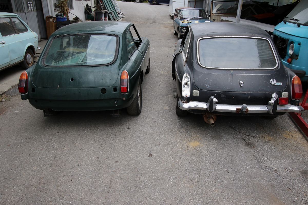 B Gt (mg)
