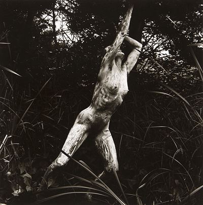 Nudo, 1988
