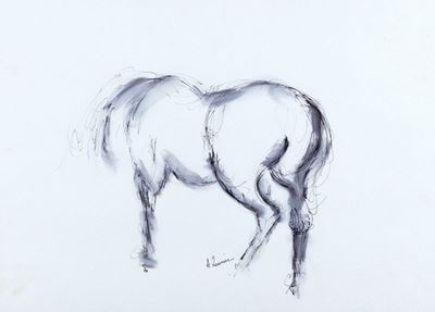 Cavallo - china e acquarello su carta