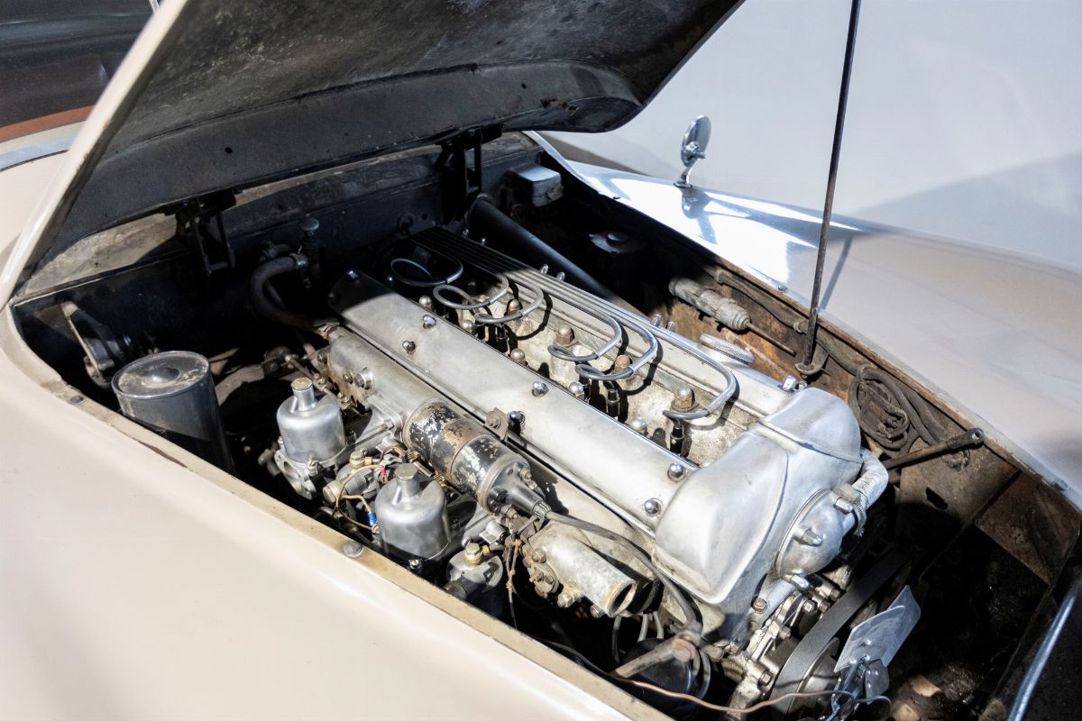 Jaguar - Xk 120 Ots