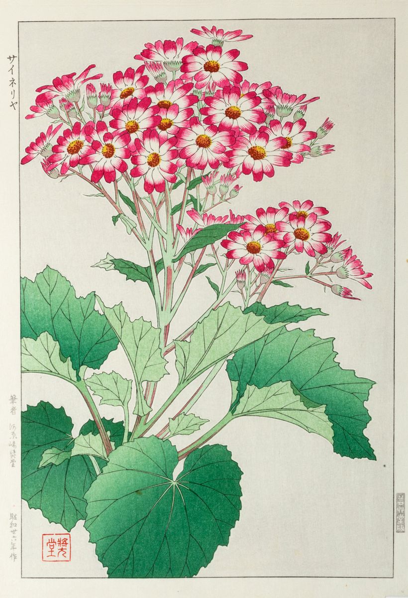 Tre stampe raffiguranti fiori: iris, ortensie, margherite rosa, Giappone  periodo Meiji, Arte Orientale
