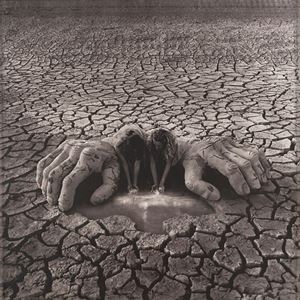La sorgente luminosa, 2004