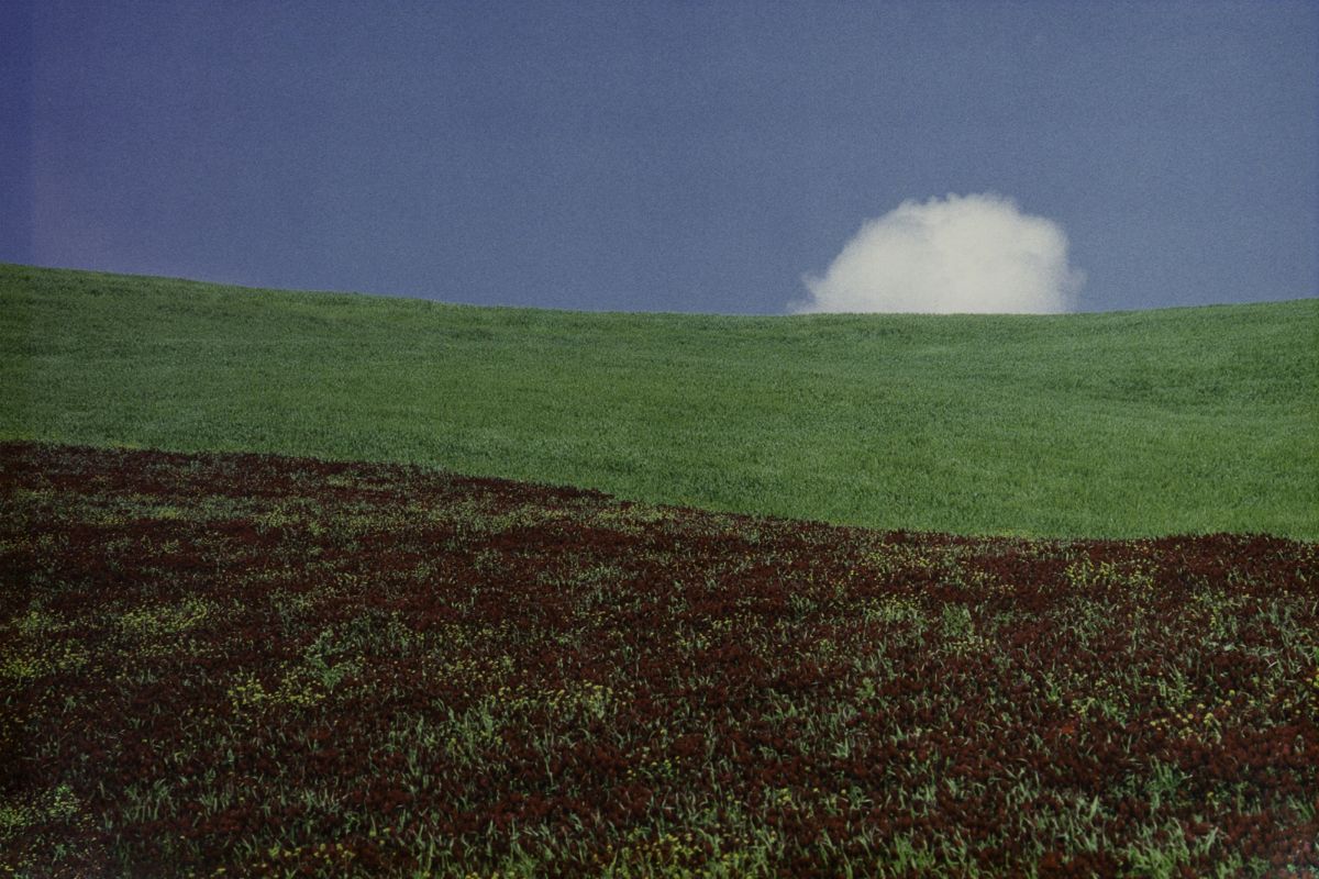 Franco Fontana - Paesaggio, 1987, C-print