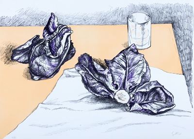 Radicchio