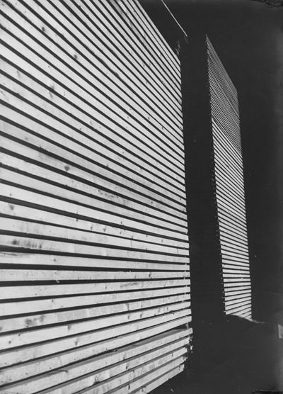 Cataste di Legno