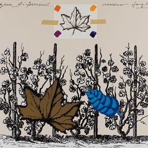 Dalla vigna di Fernand crescono foglie