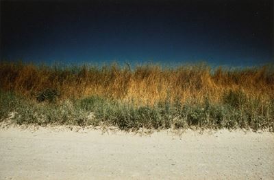 Landscape - Stampa cromogenica vintage, 1974