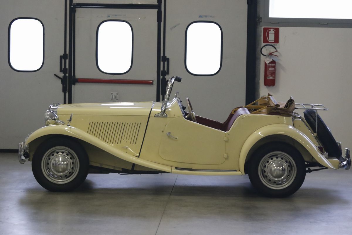 Mg - Td