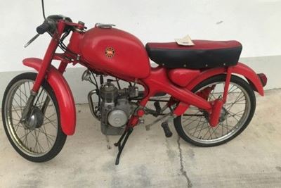 48 Junior Sport