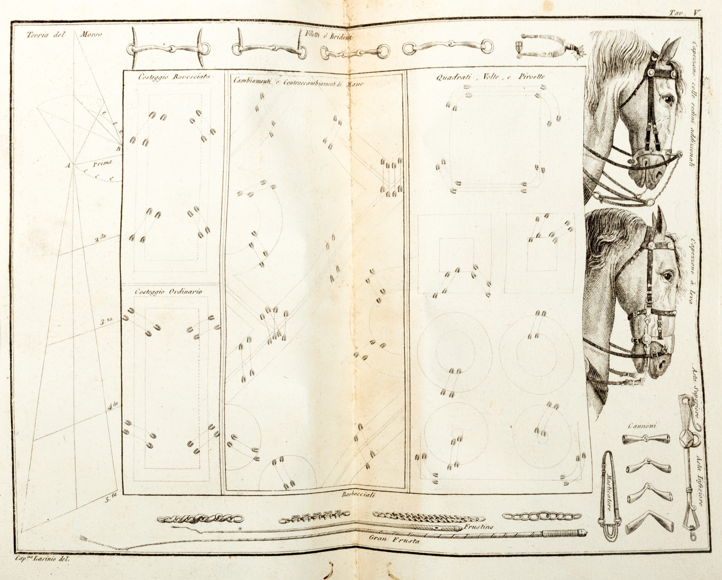 Federico Mazzuchelli Maruli - Scuola equestre. Elementi di cavallerizza, lezioni equestri, il cav...