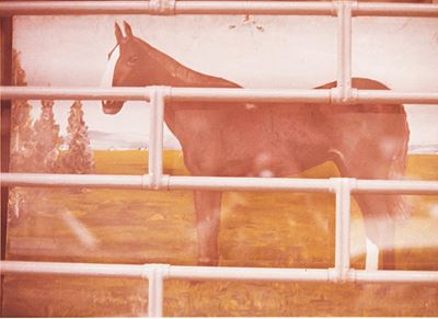 Reggio Emilia, dalla Serie "kodachrome", 1973