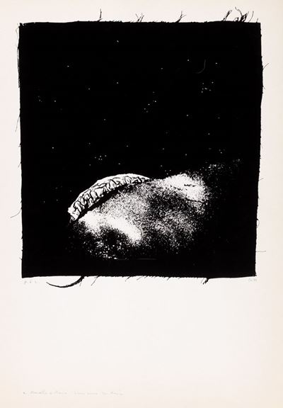 Sotto il Cielo Stellato