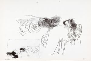 Zigaina Giuseppe - Insects