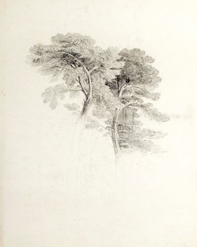 Studio di alberi con caseggiato, matita su cartoncino