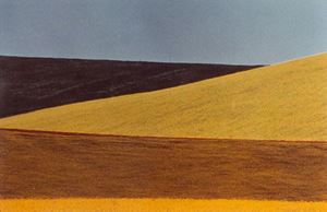 Paesaggio, 1978