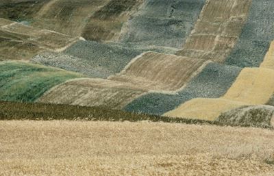 Paesaggio, Basilicata - C-print, 1987