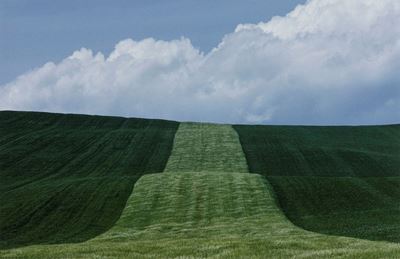 Paesaggio in Basilicata, C-print del 2005