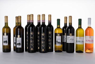 Selezione Cantina Polenta