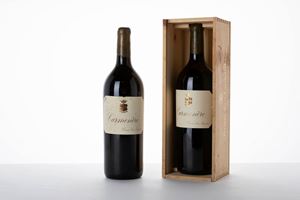Guerrieri Gonzaga Tenuta San Leonardo Carmenere Magnum