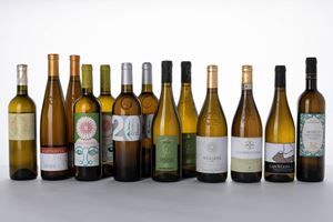 Selezione Verdicchio Marchigiano