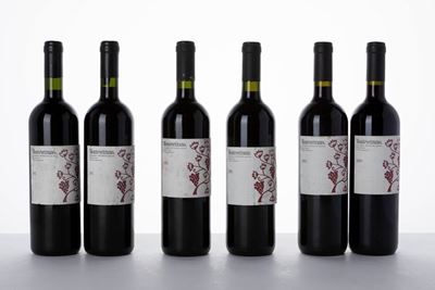 Verticale Montevetrano, Vino Rosso dalle annate 1997-2009