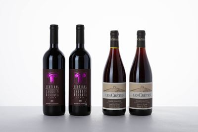 Selezione Rossi Nord Italia, Cantina di Santa Maddalena Taber Lagrein Riserva 2004 e Les Cretes P...