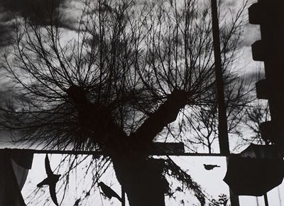 Senza Titolo, 1997