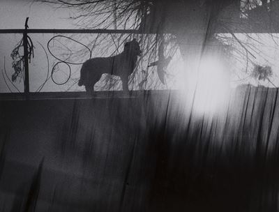 Senza Titolo, 1997