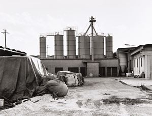 Alte di Montecchio, Vicenza, anni 1990