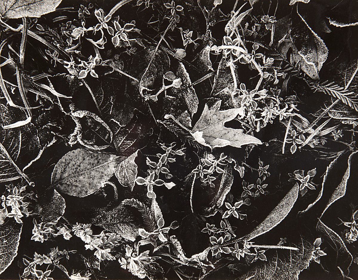 Stefano Robino - Frost - Window, Anni 1960