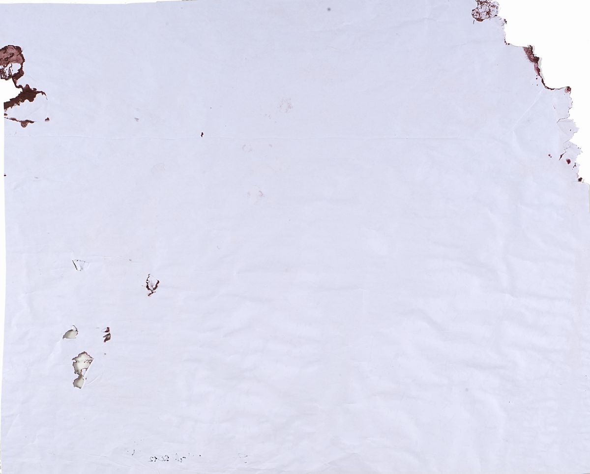 Hermann Nitsch - Senza titolo, olio su carta, 2012