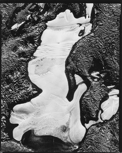 Still Life, Ice - Stampa alla gelatina ai sali d'argento