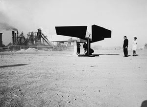 Two Winged Figures, Lynn Chadwick