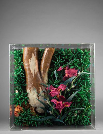 Myrtus e Ireos, poliuretano espanso in teca di plexiglass