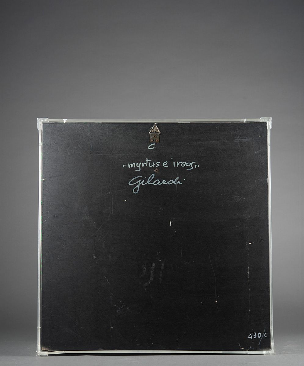 Piero Gilardi - Myrtus e Ireos, poliuretano espanso in teca di plexiglass