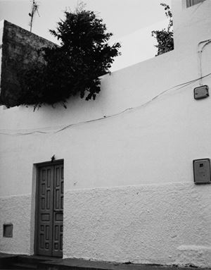 Senza titolo (esterno di casa)