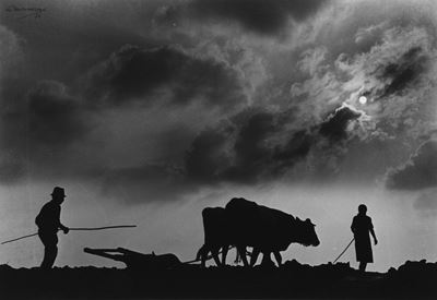 Profili di un tempo (1936) - Stampa successiva alla gelatina ai sali d'argento su carta politenat...