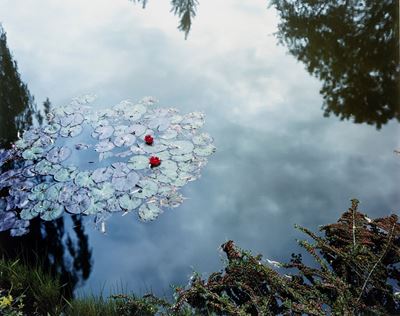 Dalla serie 'Giverny', C-print vintage, 2002