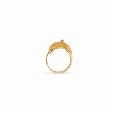 Anello in Oro